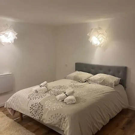 Апартаменты 2 Pieces Moderne Et Cosy A Страсбург