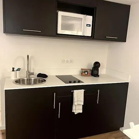 2 Pieces Moderne Et Cosy A Strasbourg